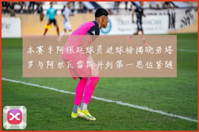 本赛季阿根廷球员进球榜揭晓劳塔罗与阿尔瓦雷斯并列第一恩佐紧随其后