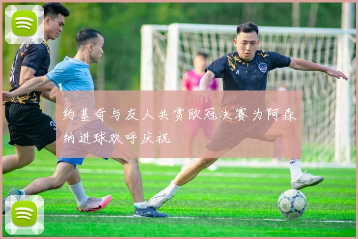 约基奇与友人共赏欧冠决赛为阿森纳进球欢呼庆祝